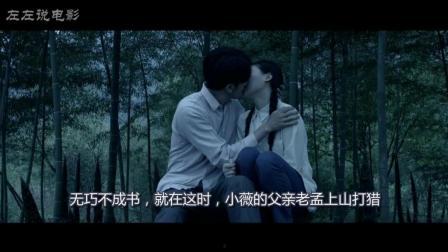 蔷薇生死恋电影完整版在线观看,穿越时空的永恒之恋  第2张